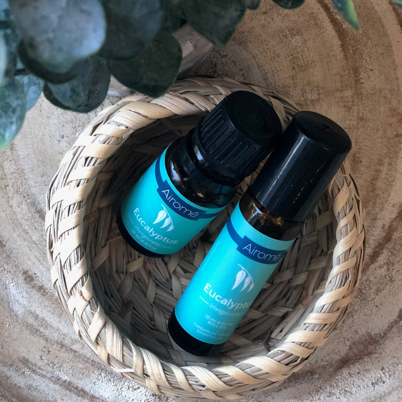 Eucalyptus Essential Oil for Breathing, Invigoration and Refreshing Aromatherapy