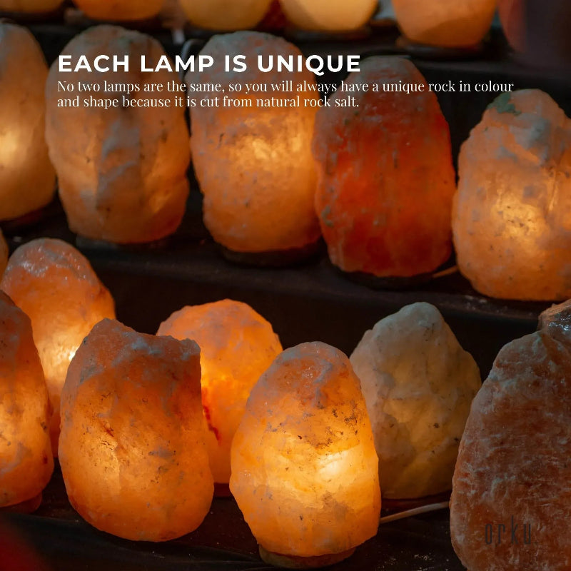 2–3kg Himalayan Pink Salt Lamp with Wooden Base 18cm x 12cm 12V 12W E14 Bulb Included